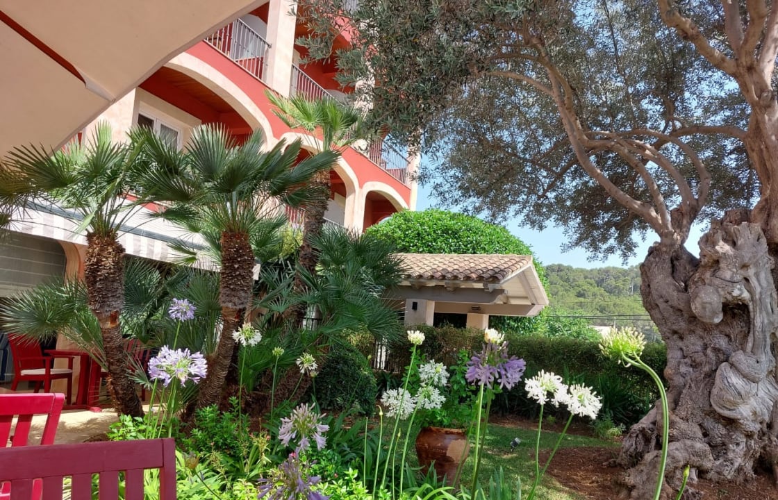 Ausblick Hotel Cala Sant Vicenc - Adults Only (+16)