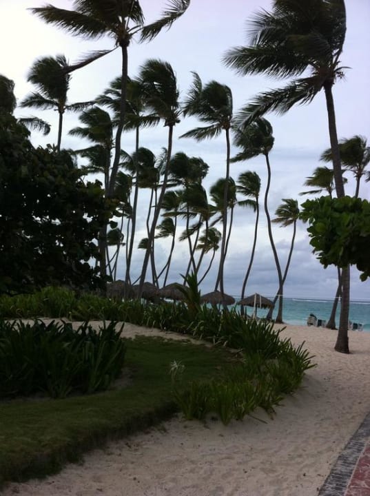 Weg zum Strand Grand Palladium Select Bávaro Resort & Spa