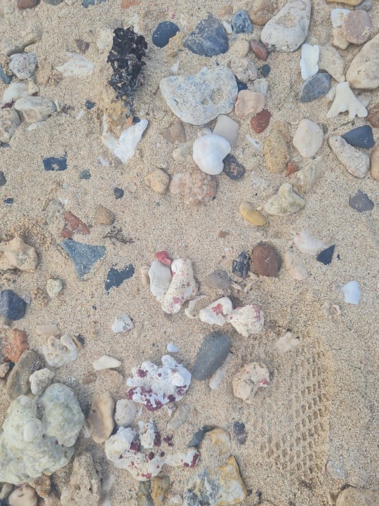 Sonstiges Pickalbatros Sands Hotel - Port Ghalib