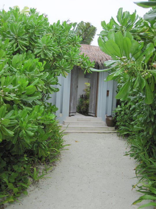 Der Weg zur Ocean Villa 13 Naladhu Private Island Maldives