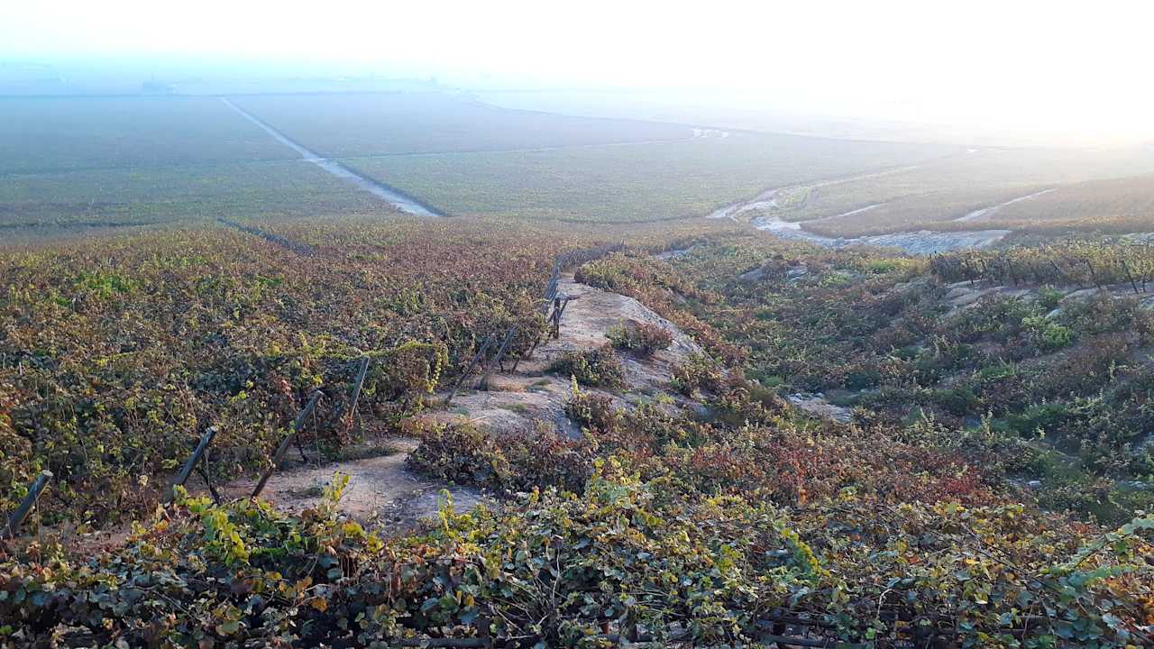 Ausblick Hotel Viñas Queirolo