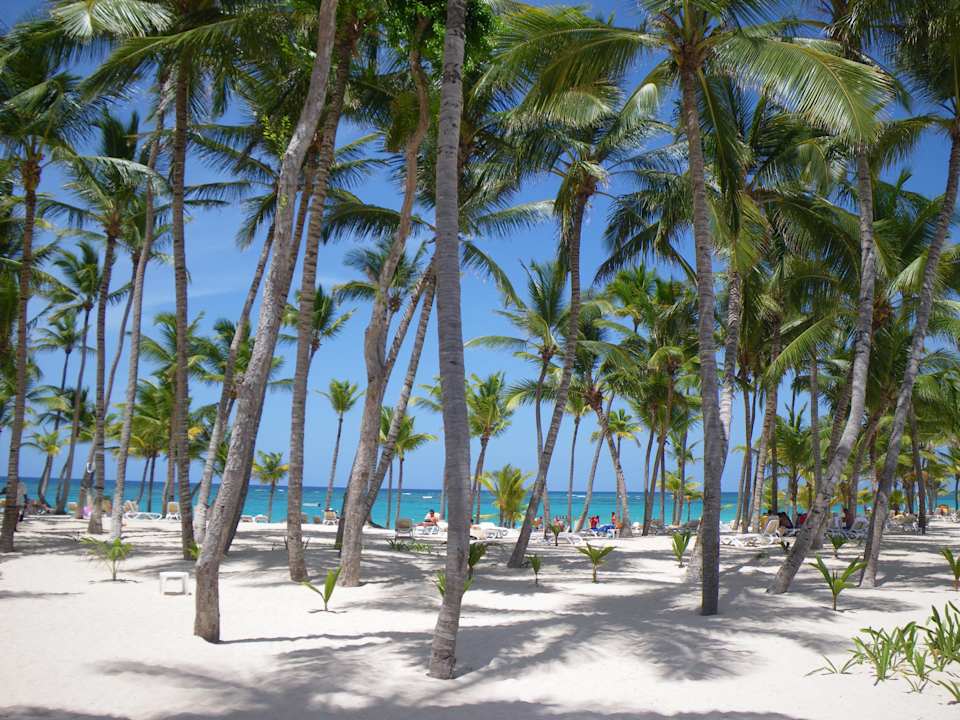 Traumstrand Hotel Riu Palace Bavaro