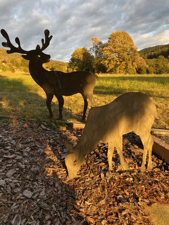 Gartenanlage Wohlfühl-Ferienwohnungen Kirchberger