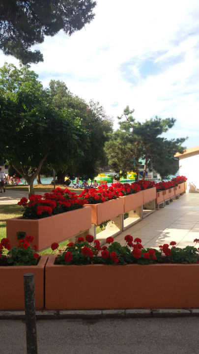 Strand Terrasse Centinera Resort & Camping