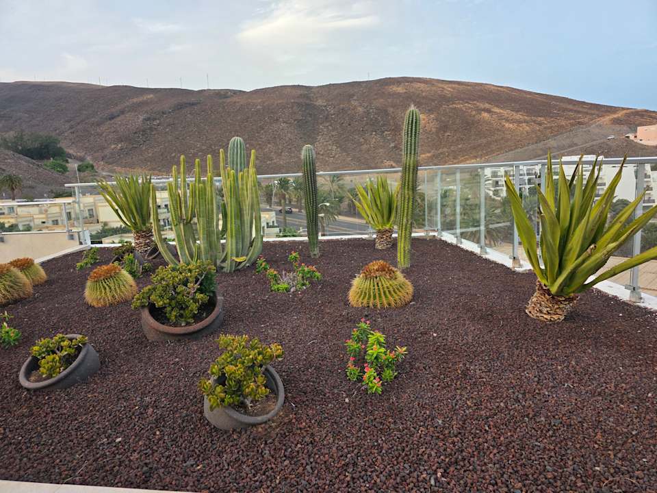 Außenansicht Hotel Riu Palace Jandia