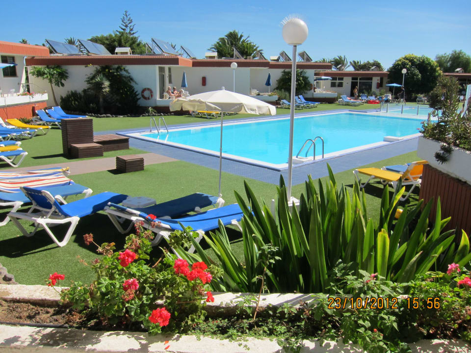 "Bungalows Dona Rosa" Bungalows Dona Rosa (Playa del Ingles