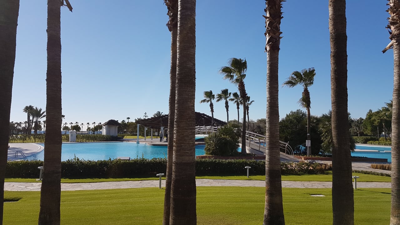 Pool Lara Barut Collection