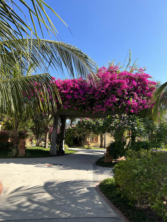 Außenansicht Pandanus Resort