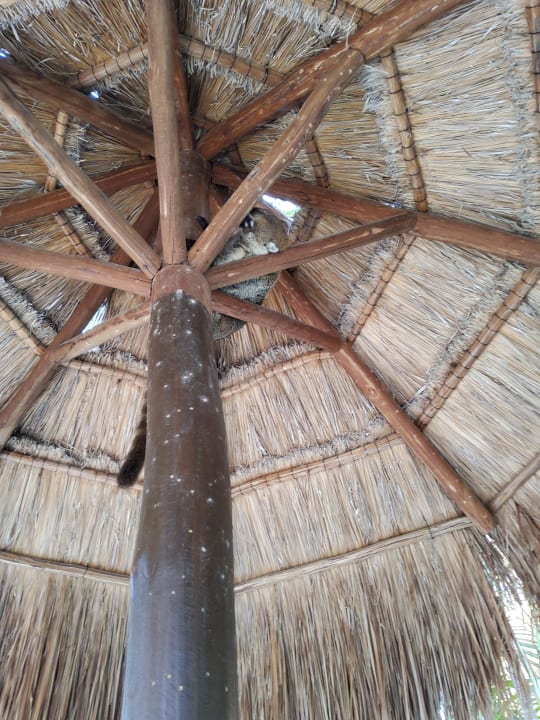 Außenansicht Iberostar Selection Paraiso Maya Suites