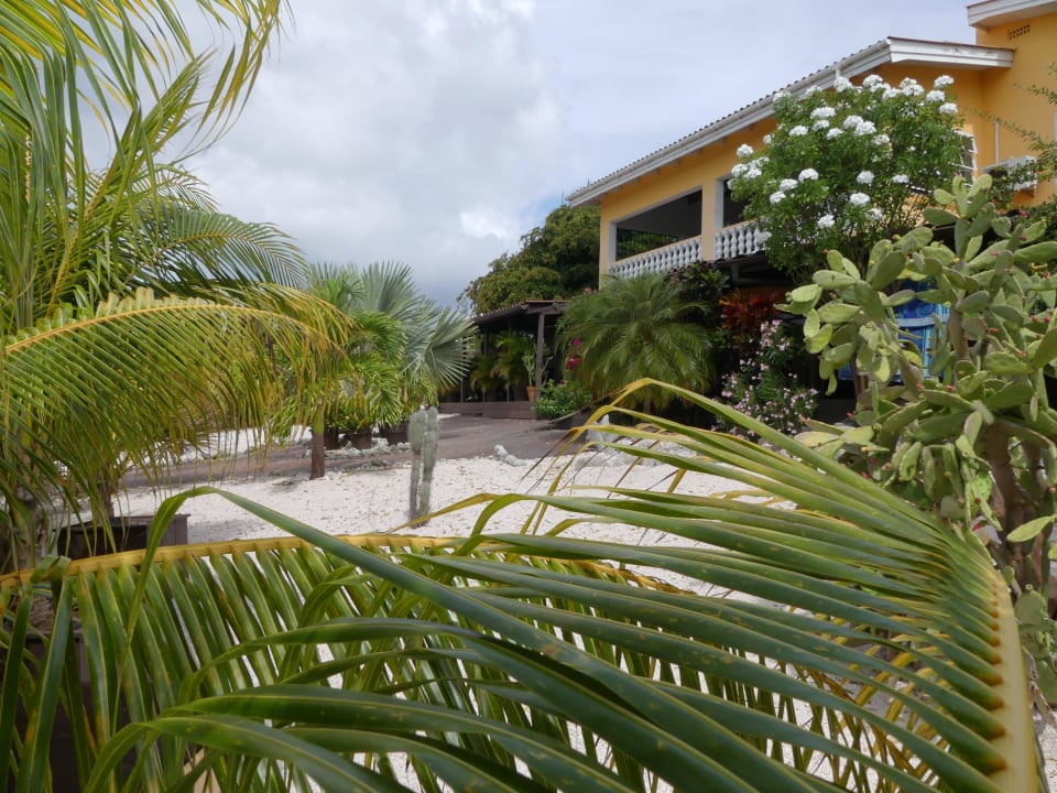 Blick vom Pool auf Apartements Jan Kok Lodges