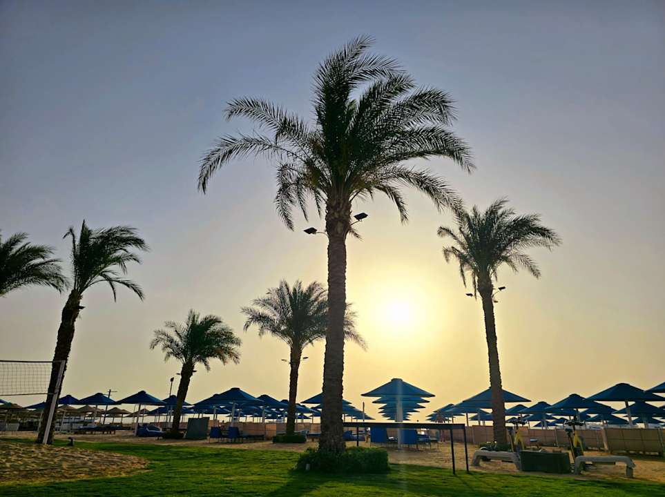 Ausblick Pickalbatros Blu Spa Resort