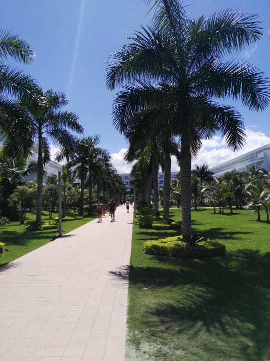 Außenansicht Hotel Riu Republica - Adults only