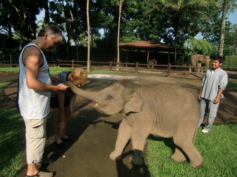 Ich hab immer Hunger! Elephant Safari Park Lodge