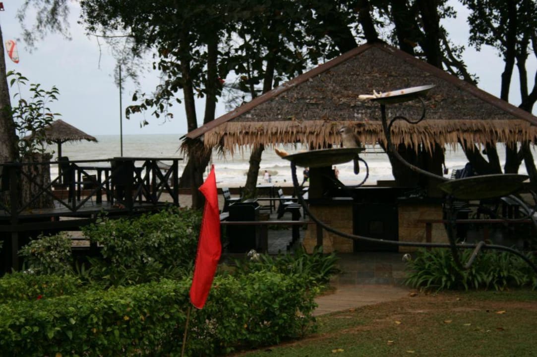 Parrot Strandbar Swiss Garden Resort & Spa Kuantan