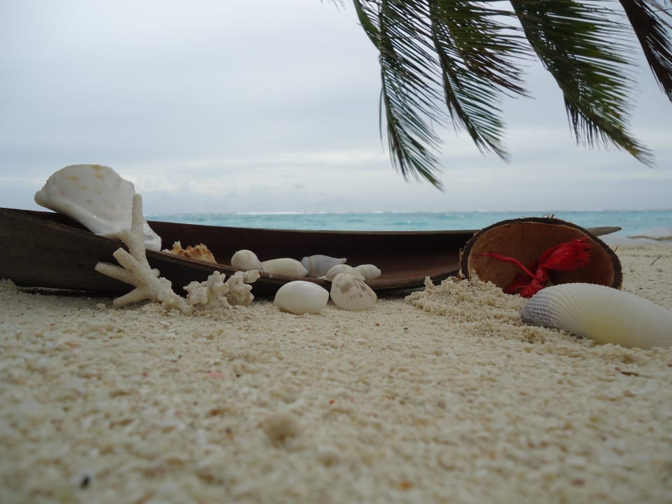 Selbstgemacht Summer Island Maldives