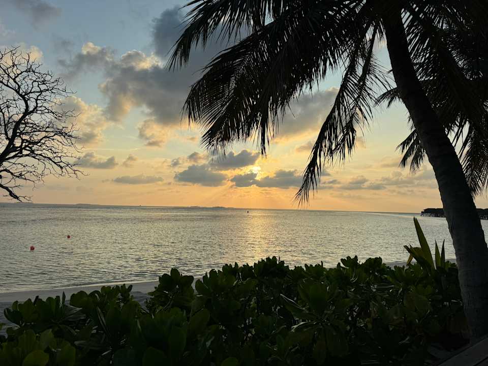 Ausblick Vilamendhoo Island Resort & Spa