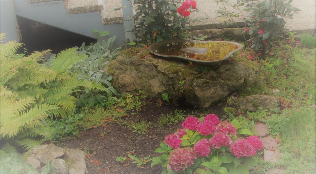 Gartenanlage Reichel's Parkhotel