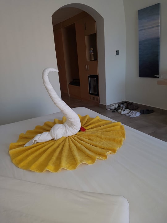 Ein stolzer Schwan Novotel Marsa Alam Beach Resort