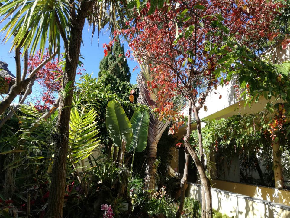 Gartenanlage Hotel Porto Mare - PortoBay
