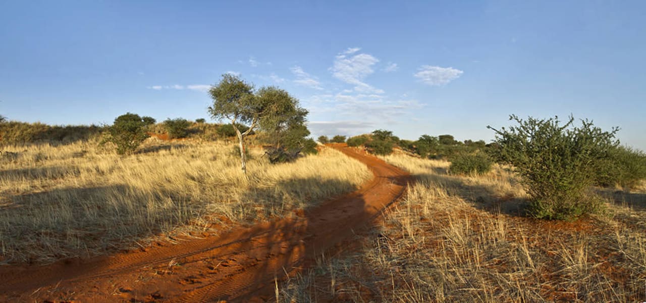 Garten Kalahari Anib Lodge