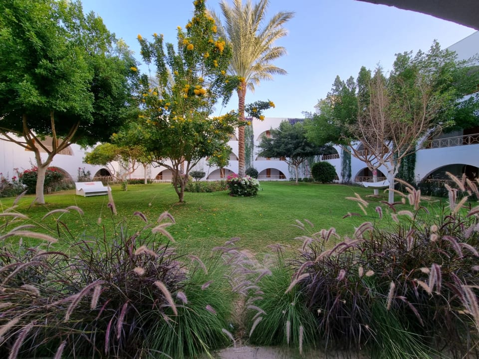 Gartenanlage Desert Rose