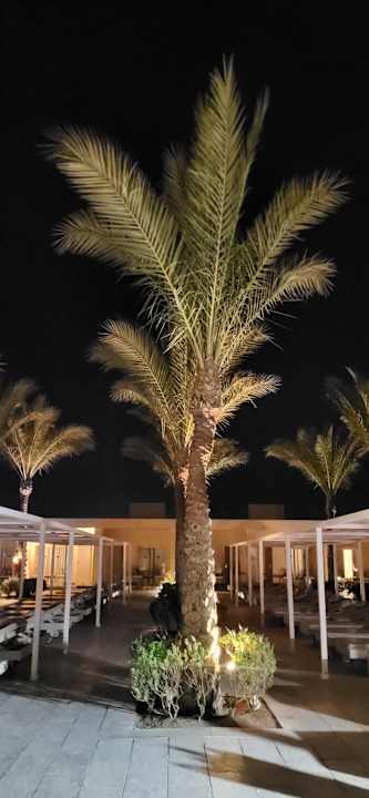 Pool Steigenberger Makadi Hotel - Adults only