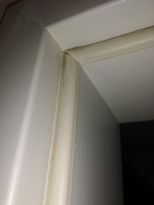 Zimmer Lifestylehotel Sand