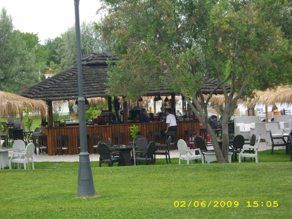 Strandbar alltoura Club Hotel Poseidon Palace