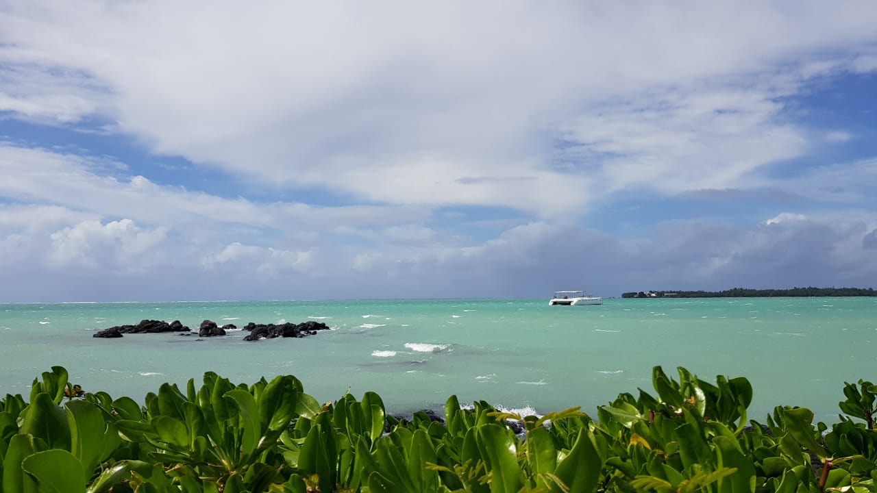 Ausblick Lagoon Attitude - Adults only