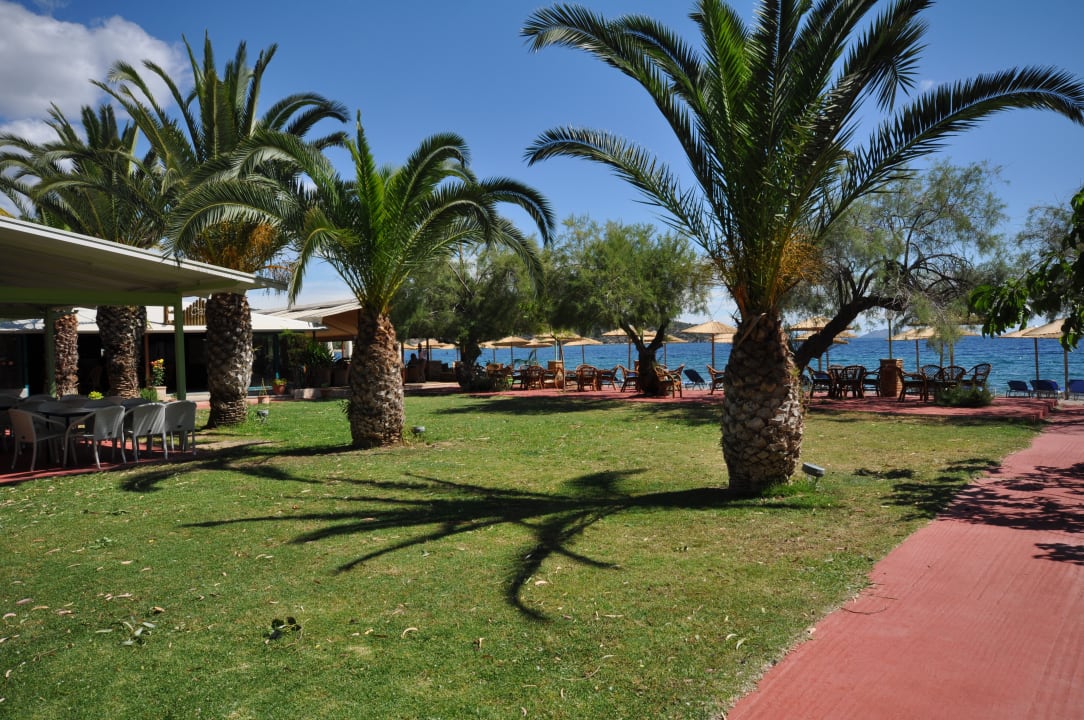 Gartenanlage Hotel Apollon