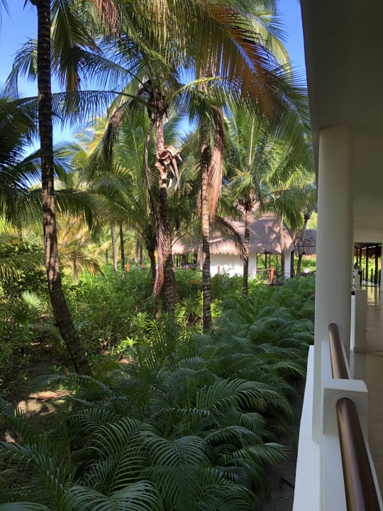 Gartenanlage Akumal Bay Beach & Wellness Resort