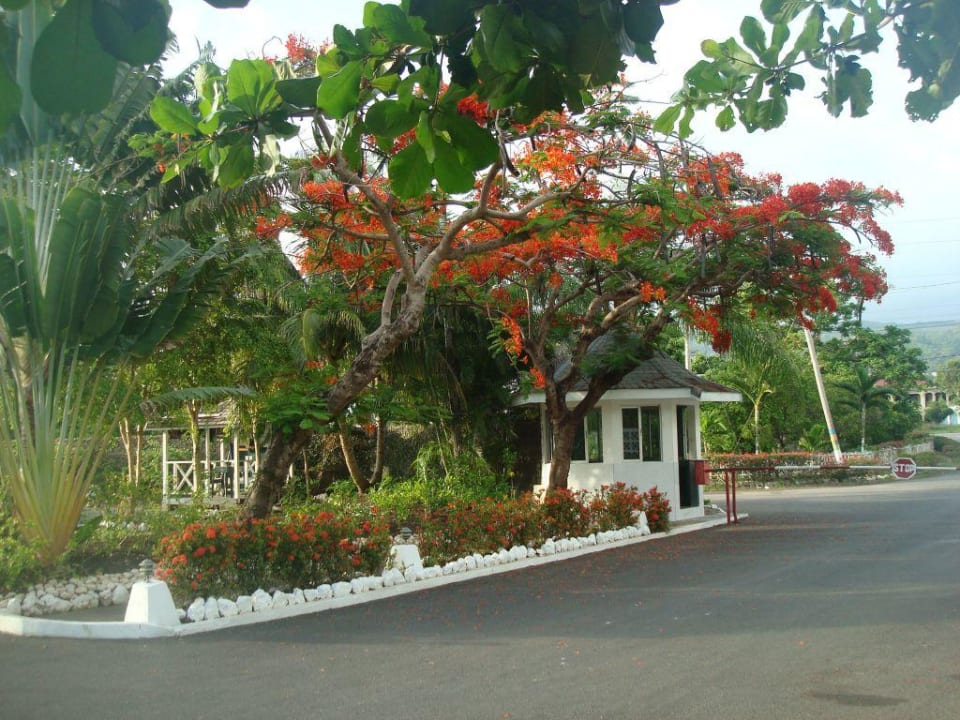 Eingang zur Hotelanlage Grand Muthu Club Caribbean Runaway Bay