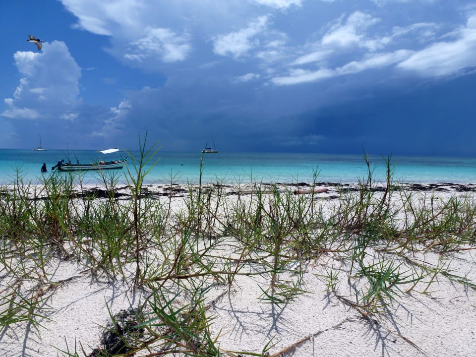 Wunderschön Catalonia Royal Tulum Beach & Spa Resort - Adults only