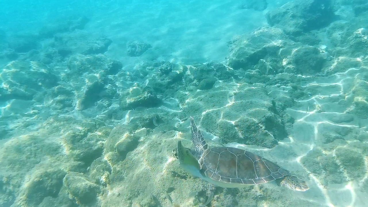 Strand Crystal Springs Beach Hotel
