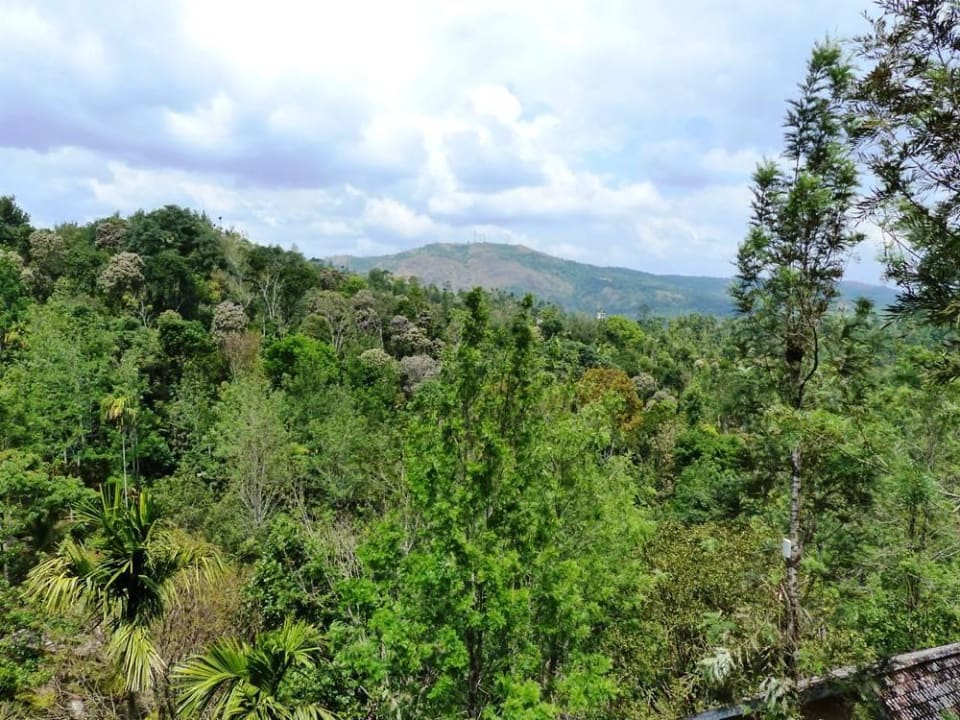 Grandiose Aussicht Hotel Thekkady Wild Corridor
