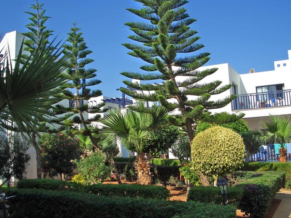 Blick auf einen Teil der herrlichen Gartenanlage Atlantica Callisto
