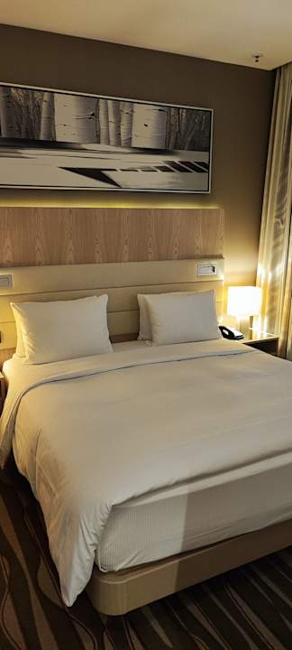 Zimmer Hilton Frankfurt Airport