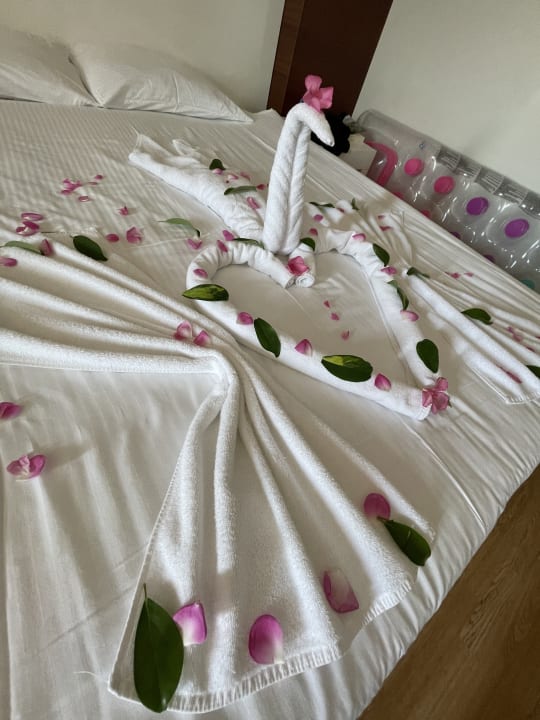 Zimmer Seaden Sea World Resort & Spa