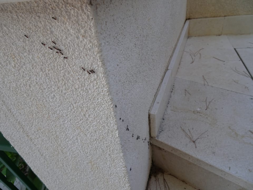 Außenansicht Villasanta De Luxe Apartments