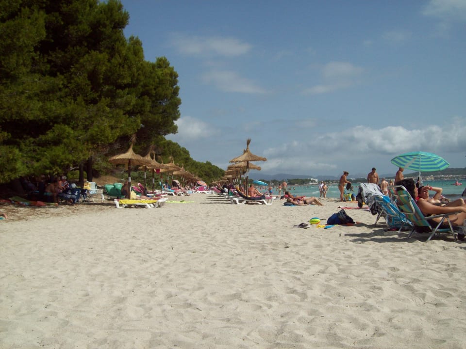 Strand Aparthotel Ivory Playa