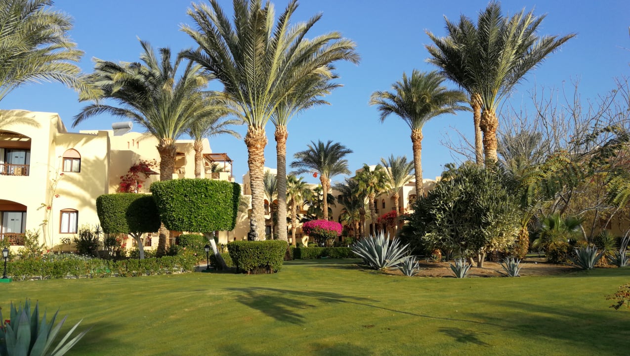 Außenansicht Steigenberger Coraya Beach - Adults only