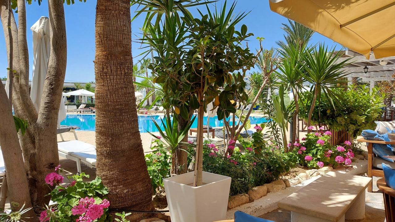 Pool Crystal Springs Beach Hotel