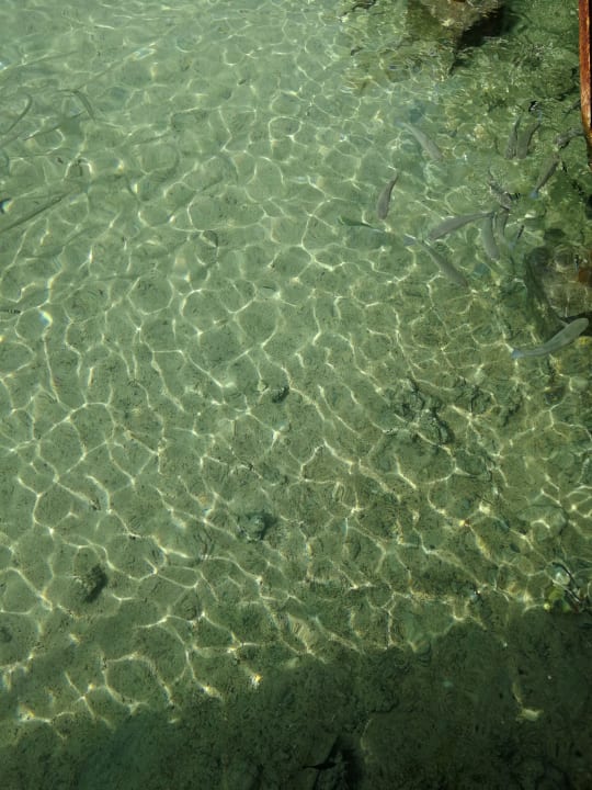 Strand Pickalbatros Royal Moderna Resort-Sharm El Sheikh