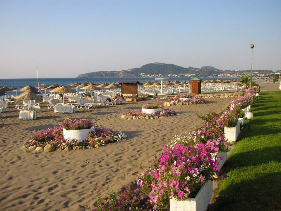 Strand mit Blumen Hotel Calypso Beach