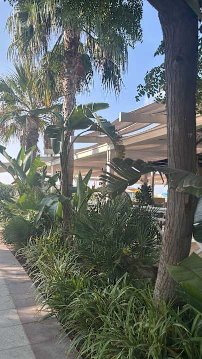 Gartenanlage Belek Beach Resort Hotel