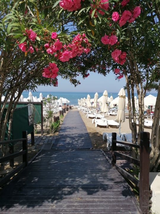 Strand Nerton Hotel - Erwachsenenhotel ab 16 Jahren