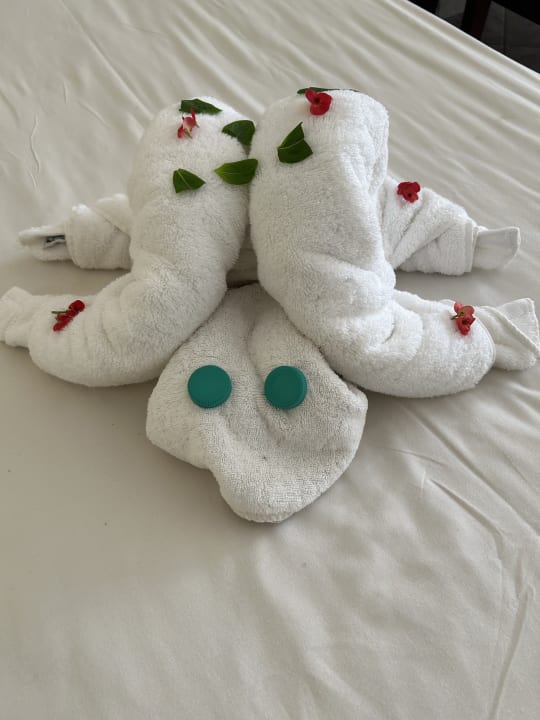 Zimmer Casa Mare Resort