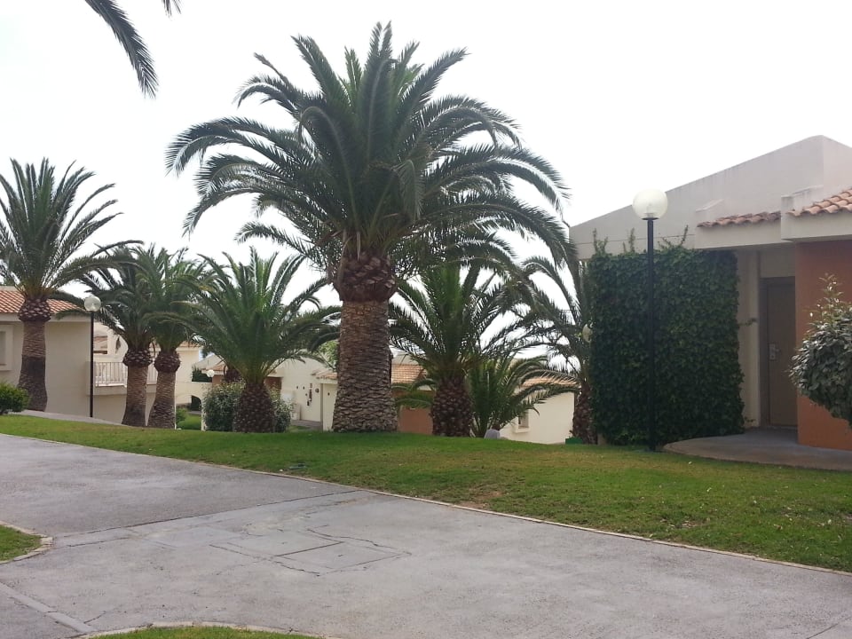 Verbindungswege blau punta reina