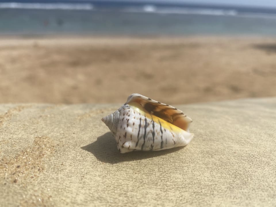 Strand Three Corners Sea Beach Resort