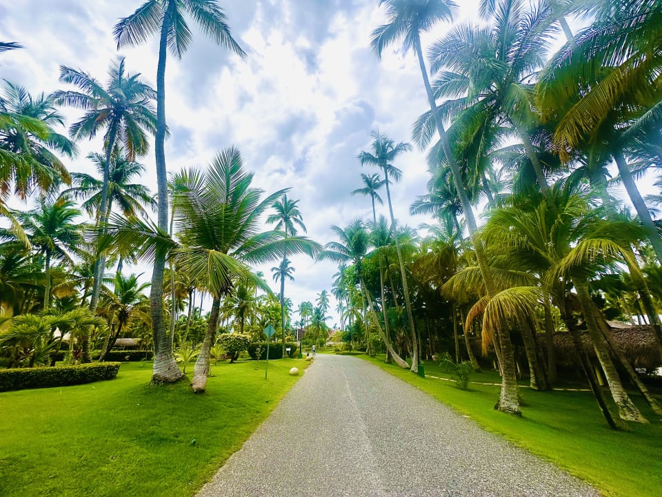 Gartenanlage TRS Turquesa Hotel - Adults only